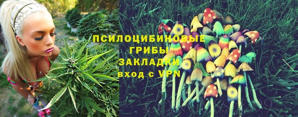 экстази Осинники