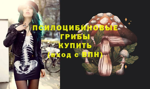 экстази Осинники