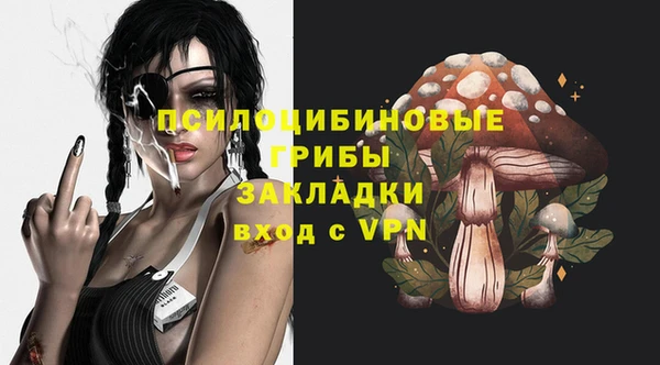 экстази Осинники