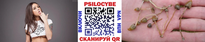 Псилоцибиновые грибы мухоморы  сколько стоит  Балашов 
