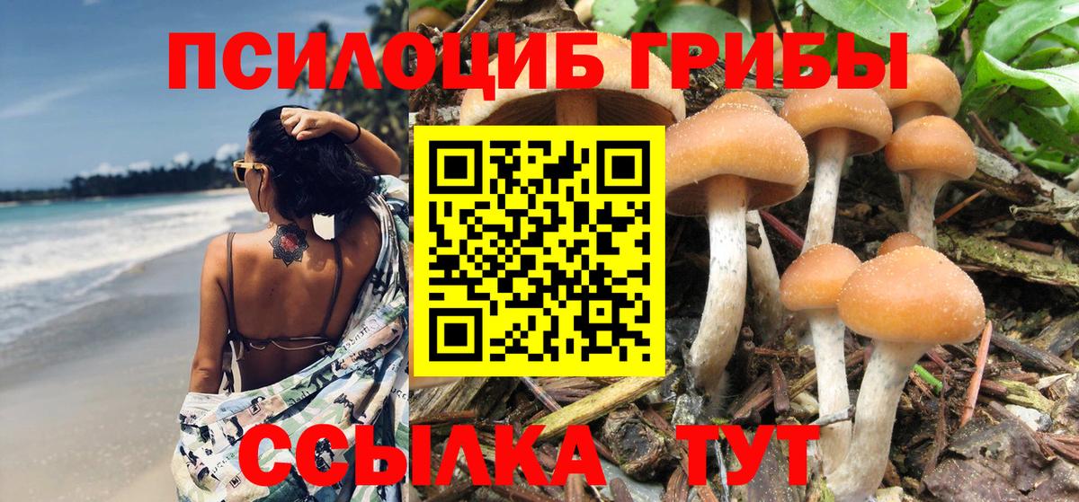 Псилоцибиновые грибы мухоморы Балашов