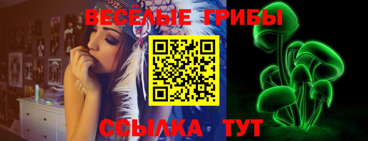 Псилоцибиновые грибы Cubensis  Вход с VPN  Балашов 